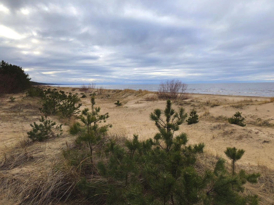 Jurmala Dunes (M. Reckermann)