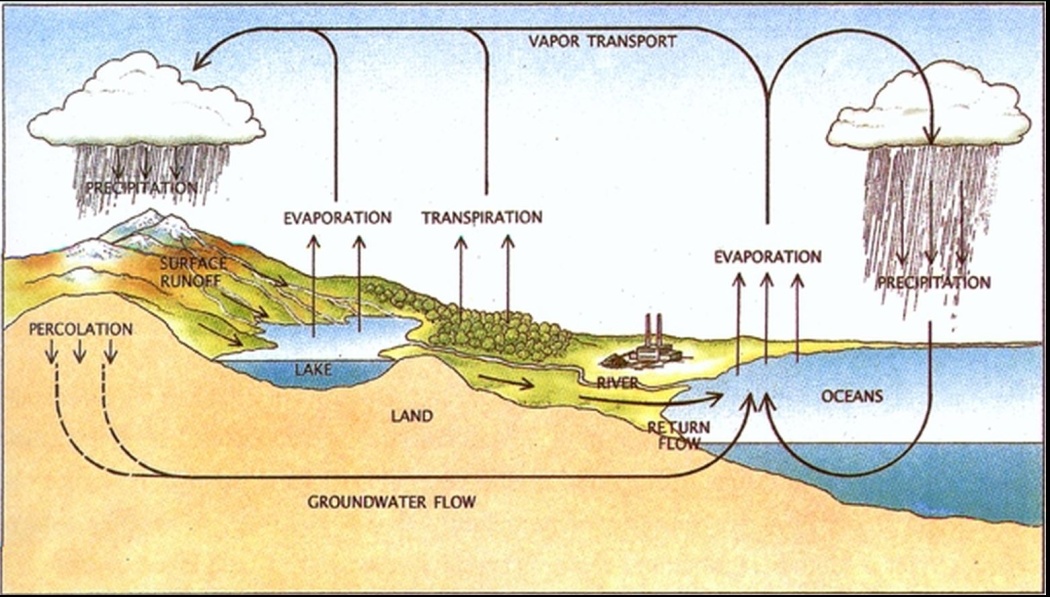 The water and energy cycle